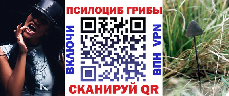 Псилоцибиновые грибы Psilocybine cubensis  хочу   Анжеро-Судженск 